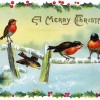 A Time For Change ACHR1050_christmas-song-birds_900px
